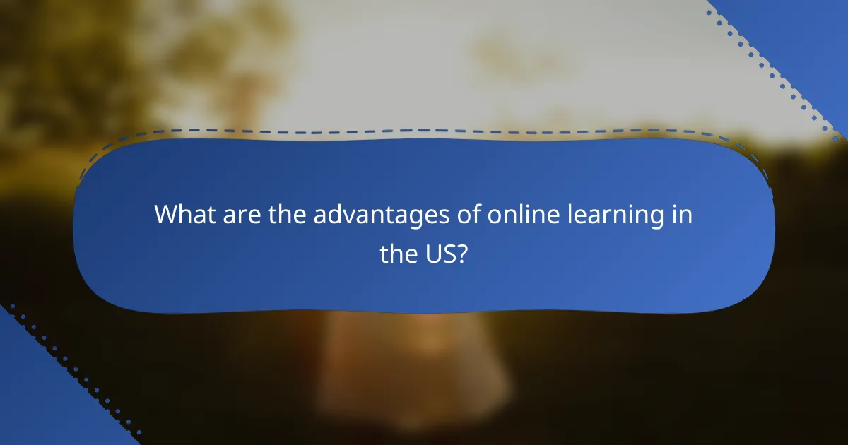 What are the advantages of online learning in the US?