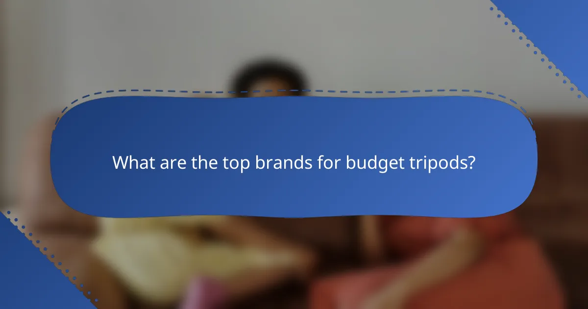 What are the top brands for budget tripods?
